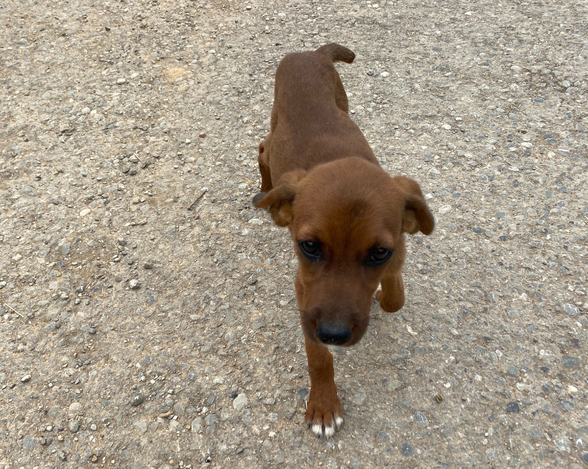 Первая встреча.