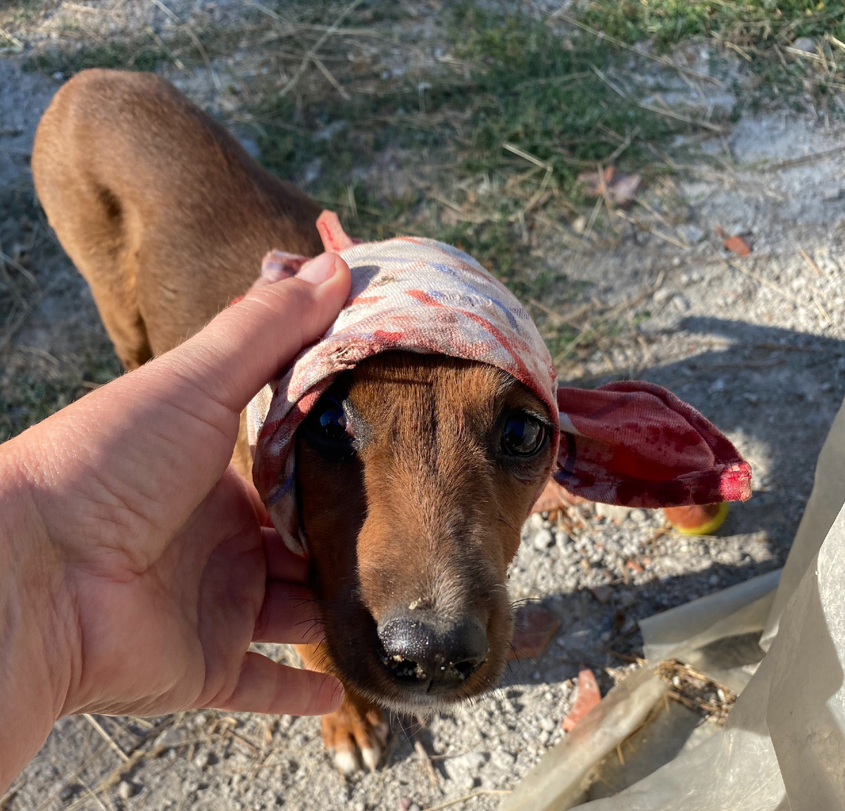 Пойдём с нами!