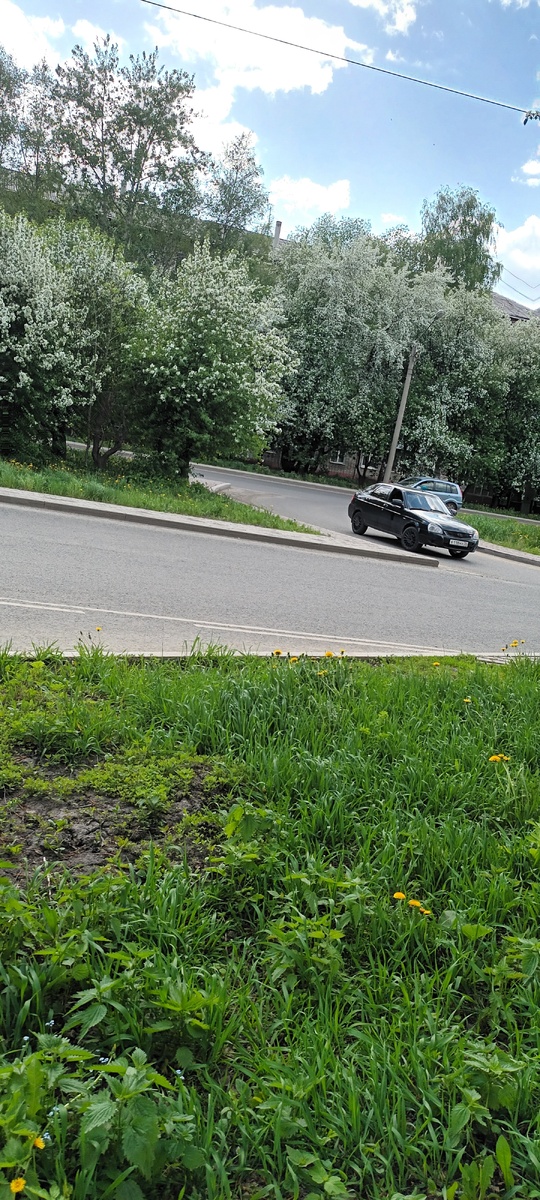 Ракетки цветут.