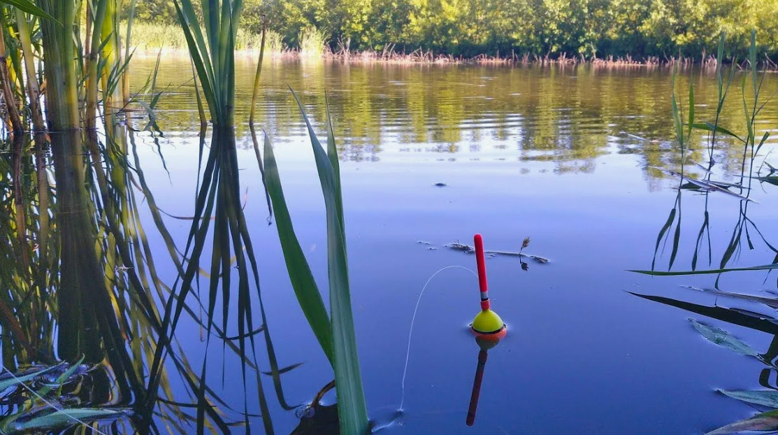 Рыбалка на поплавочную снасть в камышах. Источник фото кретны
ru.pinterest.com