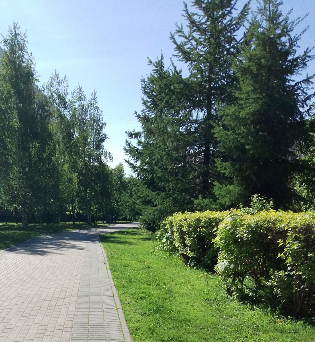 Фото автора. Парк