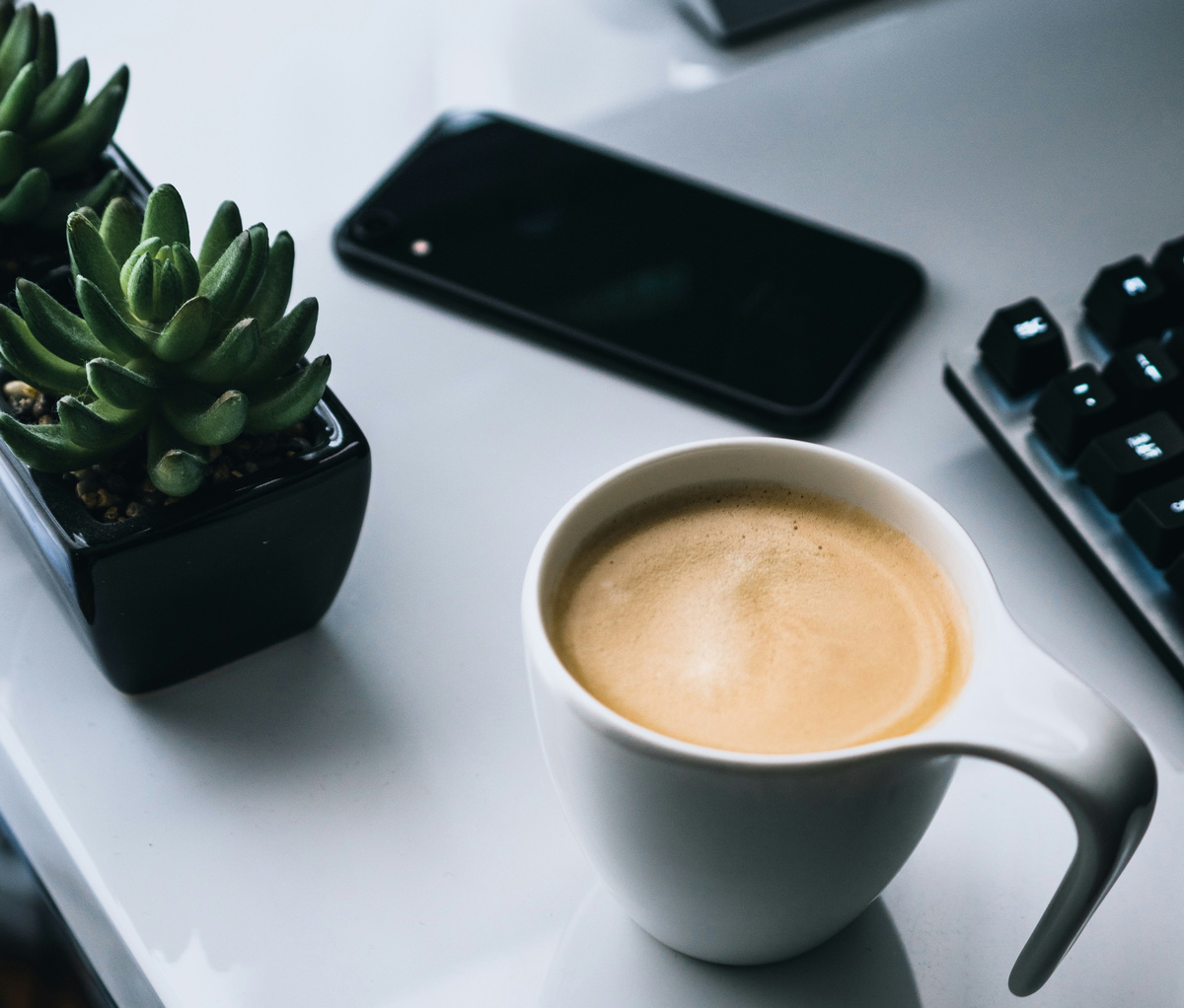 Фото: Sebastian Bednarek 