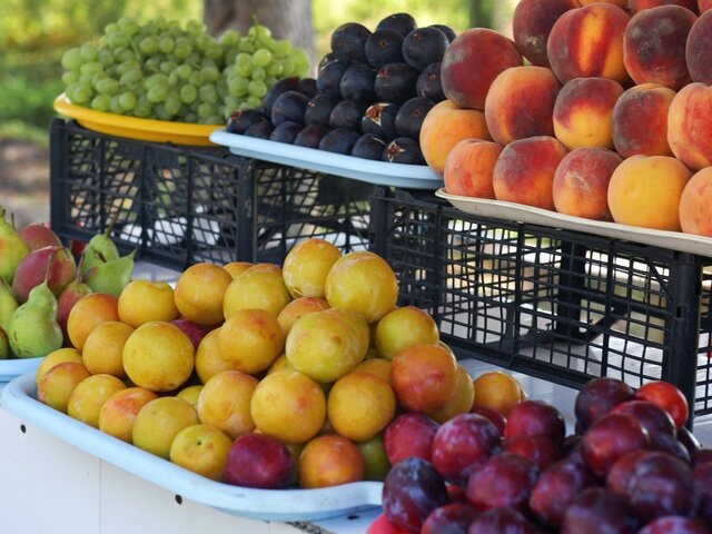    Фото: РИА Новости/Sputnik/Томас Тхайцук