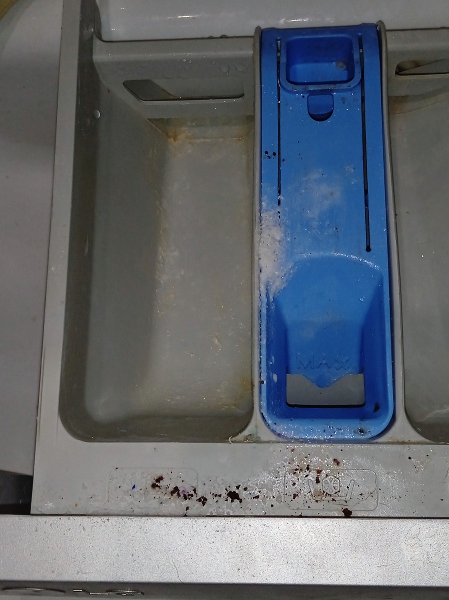 Давненько не мылась.