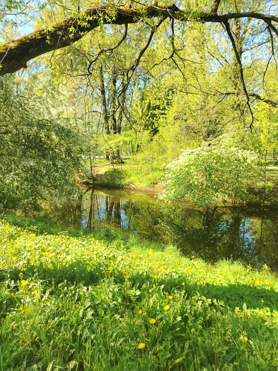 Фотографировала по пути в офис