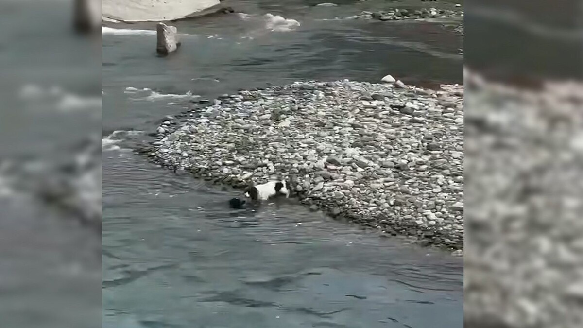    Фото: t.me/mtrk_krasnodar