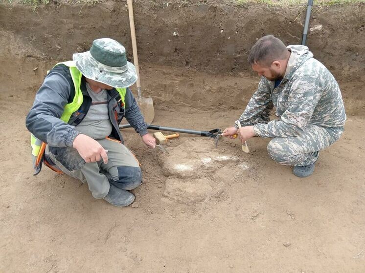     Фото: Институт истории, археологии и этнографии ДФИЦ РАН.