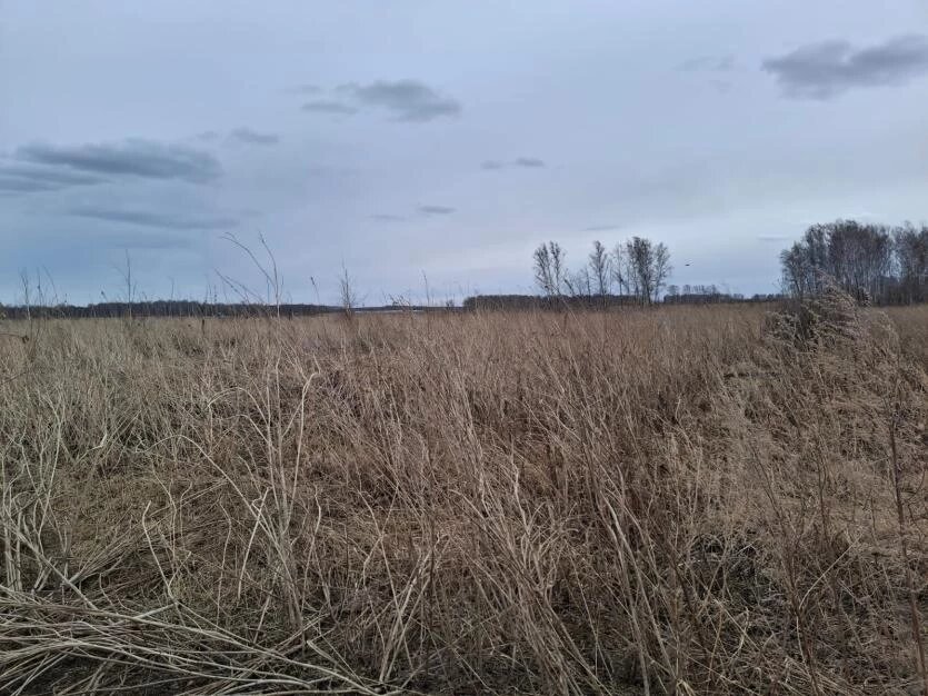 Фото: Уральское межрегиональное управление Россельхознадзора