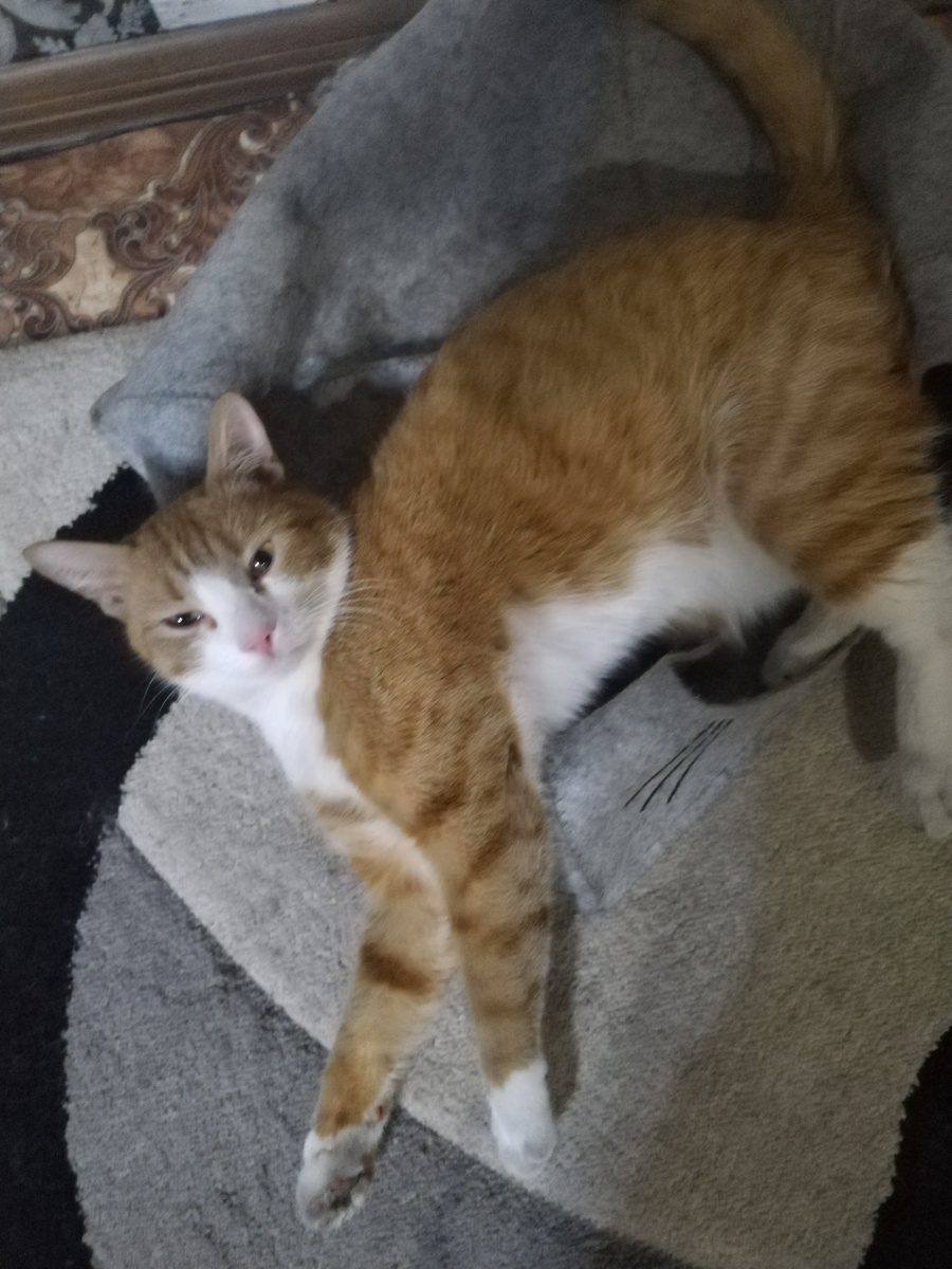 Бом согласен) 