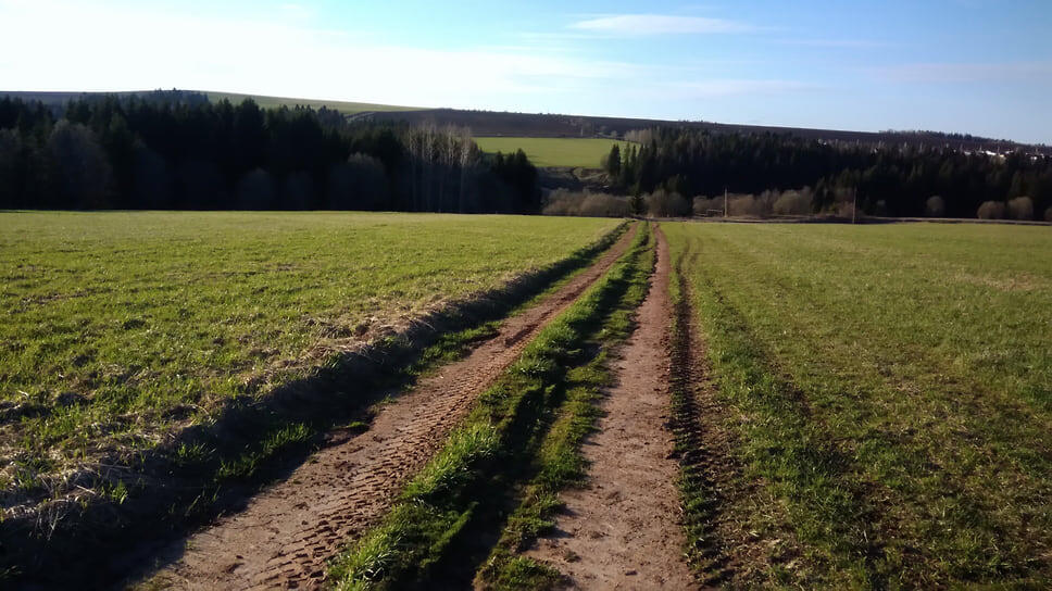 Фото: Максим Кимерлинг / Коммерсантъ