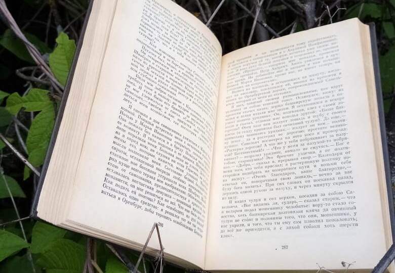 Речевые нарушения и математика