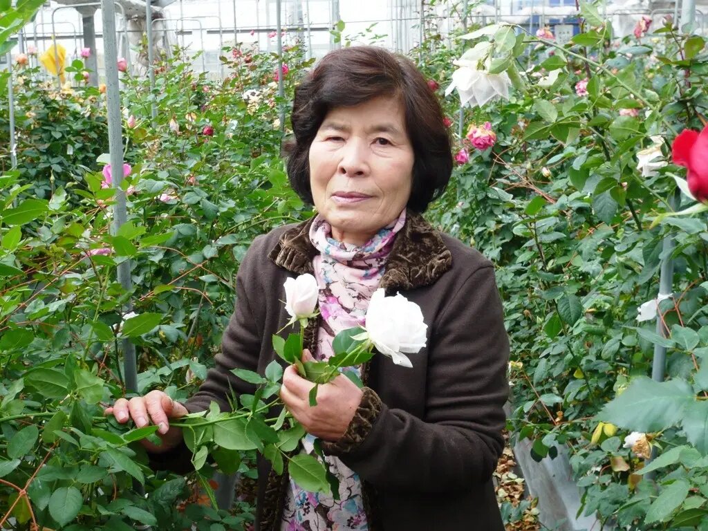 Дзунко Кавамото