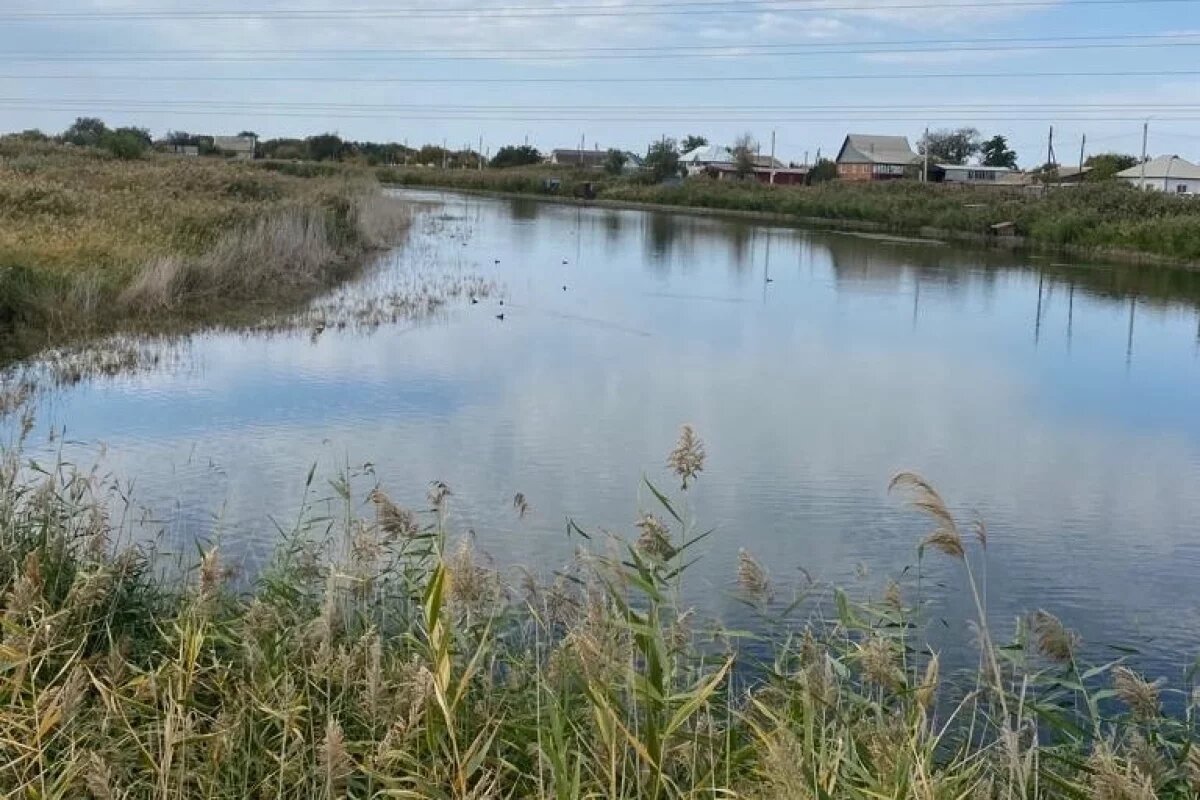    Реки и озера Волгоградской области проверят на самовольный захват