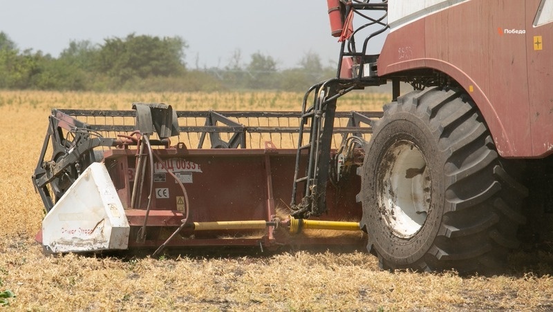    17 тыс. га отвели под посев кукурузы в Предгорном округе Фото: ИА «Победа26»