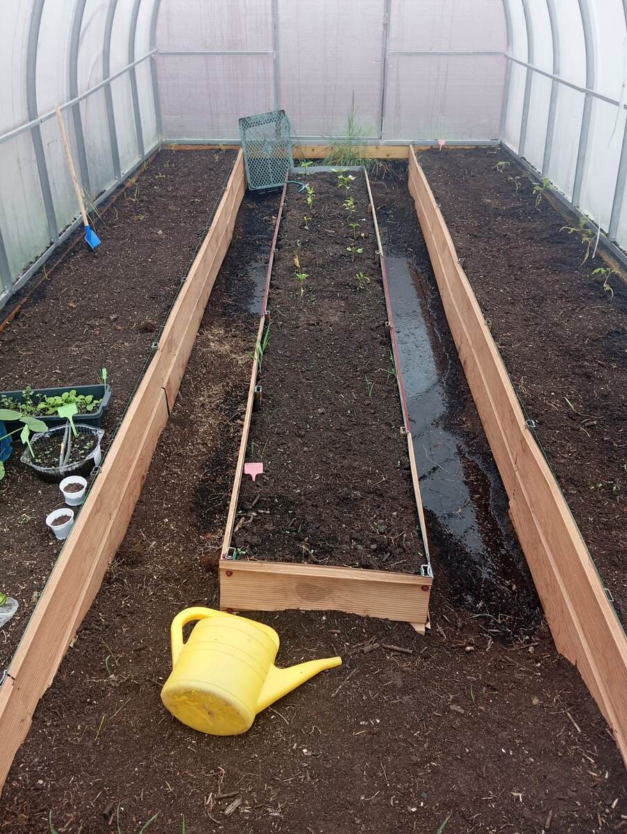 Затопило дорожки в теплице