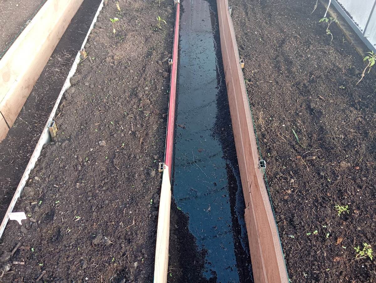 Вода на дорожках в теплице