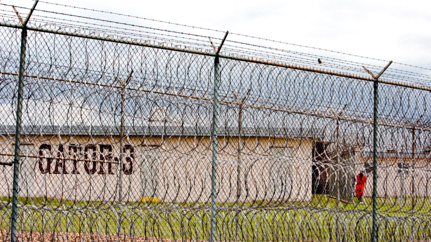    Фото: AP/ТАСС; 5-tv.ru