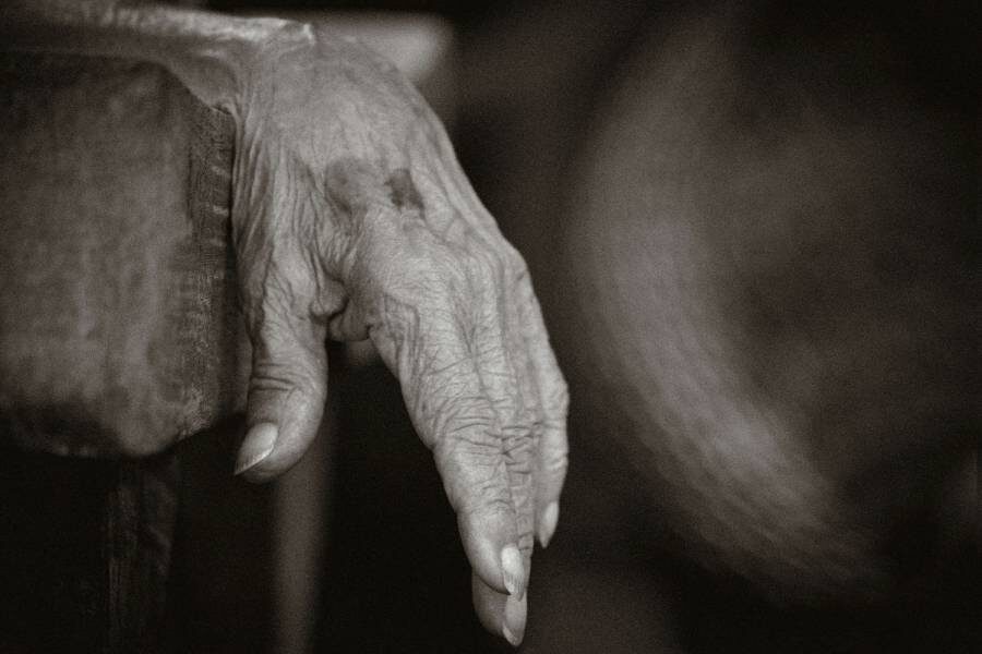 Фото: Leandro Callegari / Unsplash.com