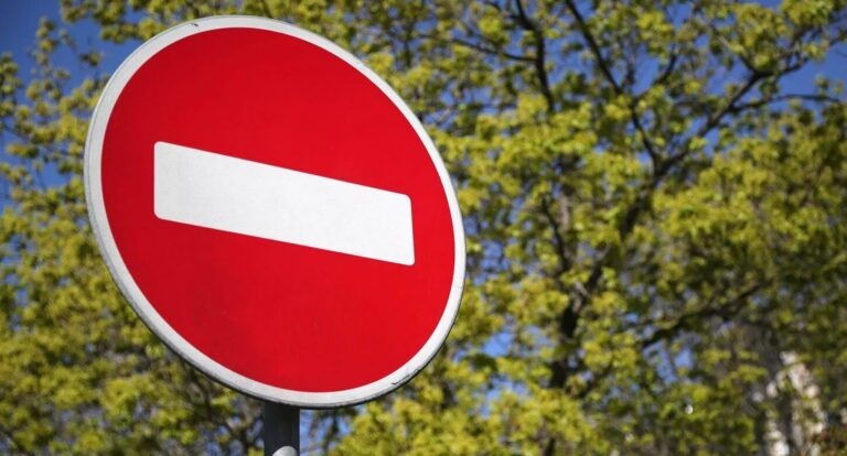    Фото: mos.ru Ксения Евдокимова