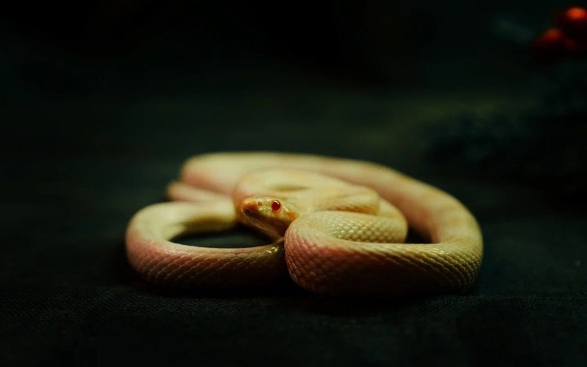    Переутомление и внутренний блок – кто по гороскопу на 23 мая почувствует, что больше не справляется?