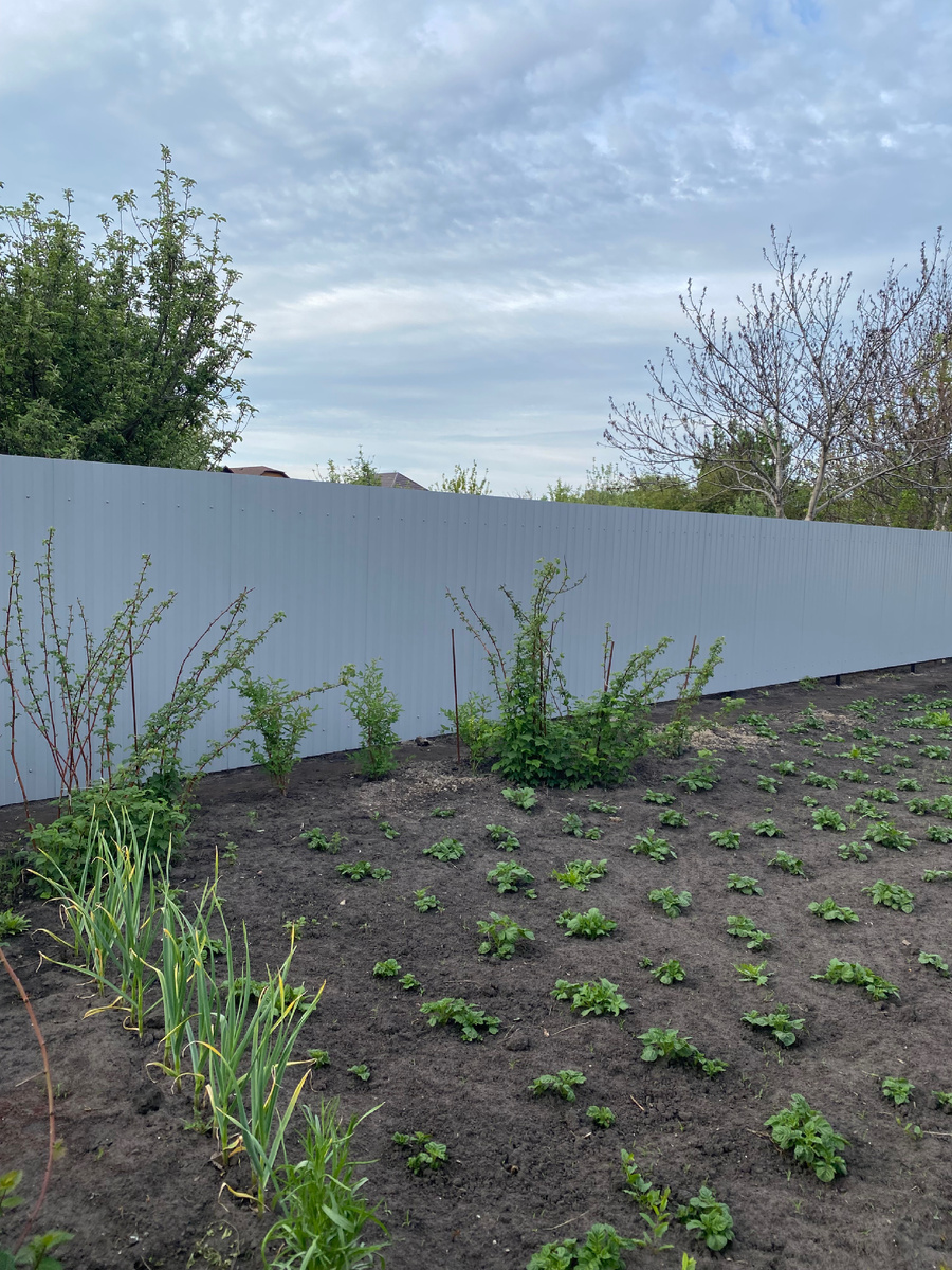 Новенький забор