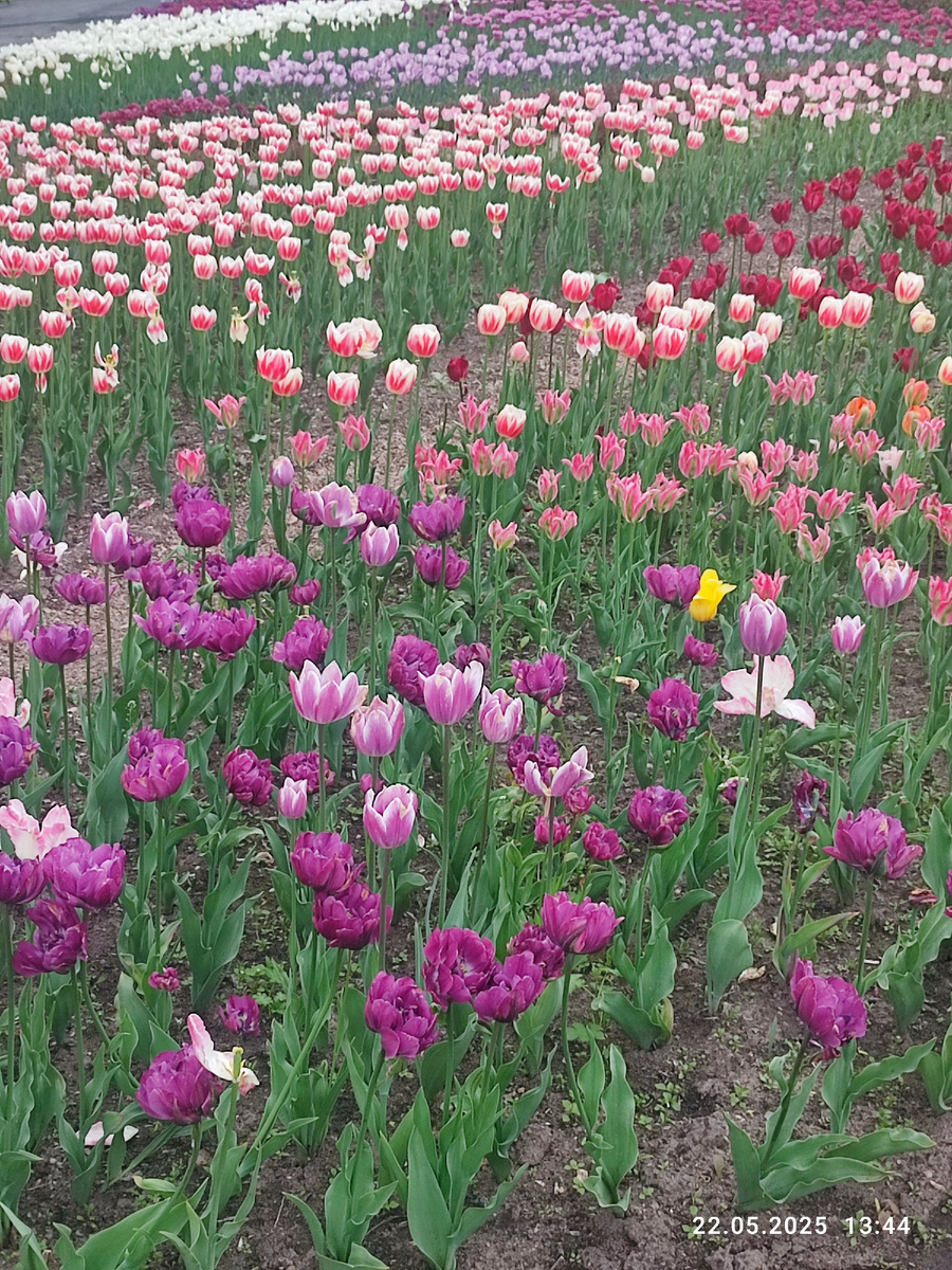 Фото автора.