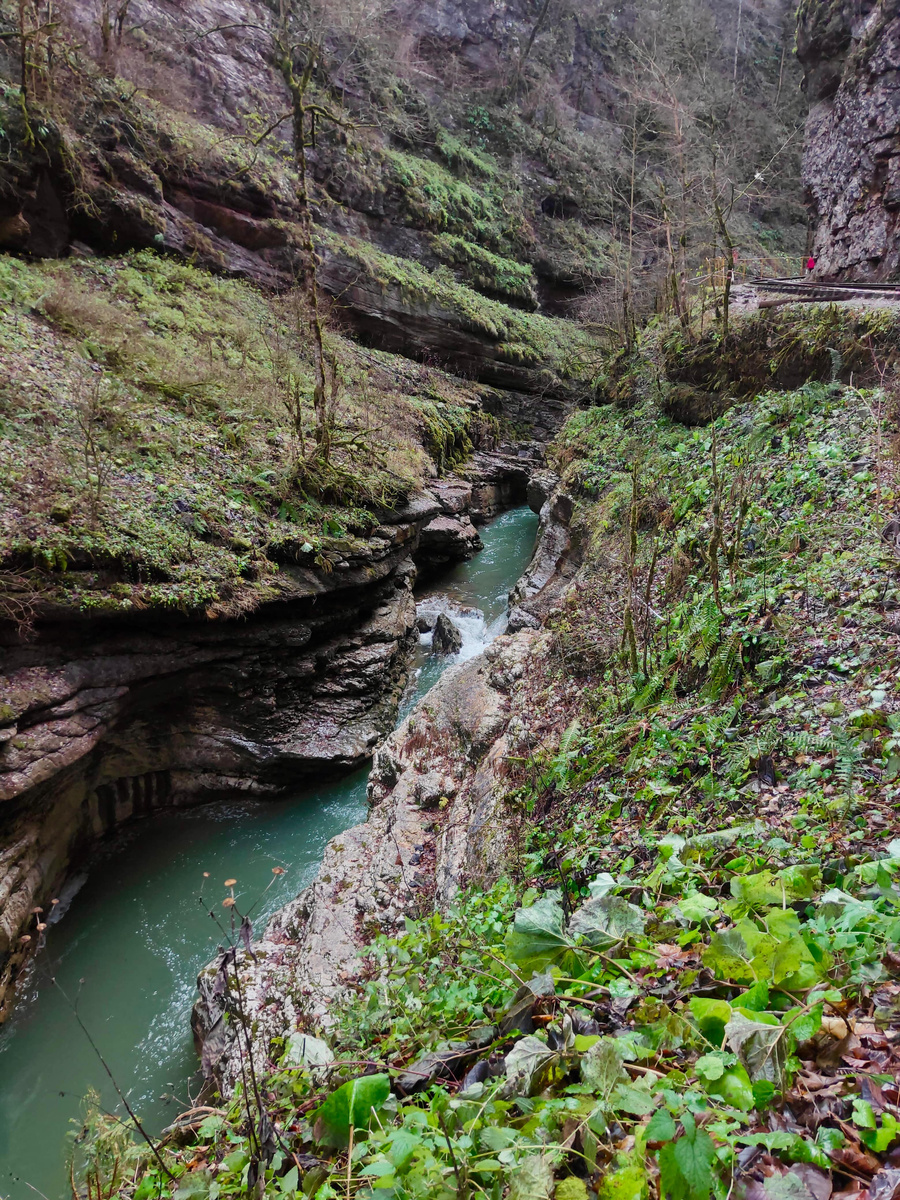 Река Курджипс в Гуамском ущелье. Фото: https://guamka-kuban.ru/