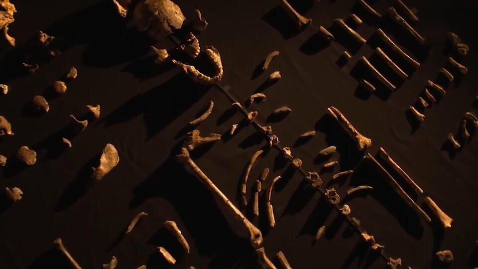 Фото: © Кадр из программы "Загадки человечества", РЕН ТВ