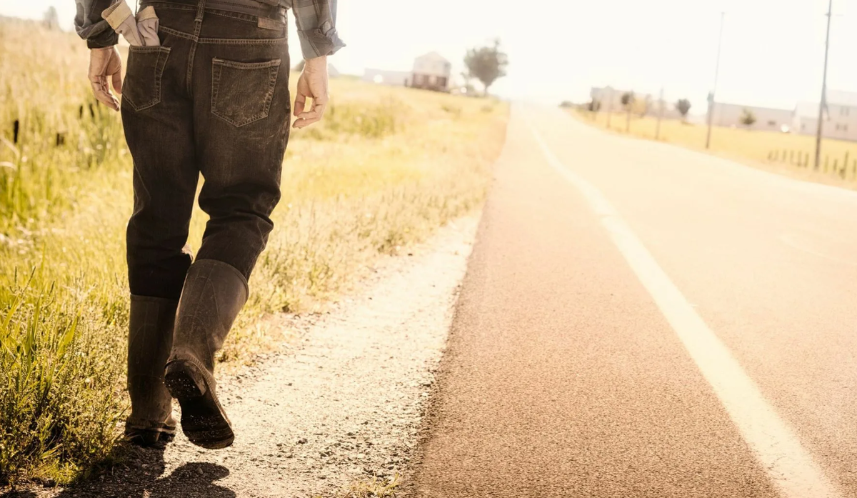 Яндекс картинки