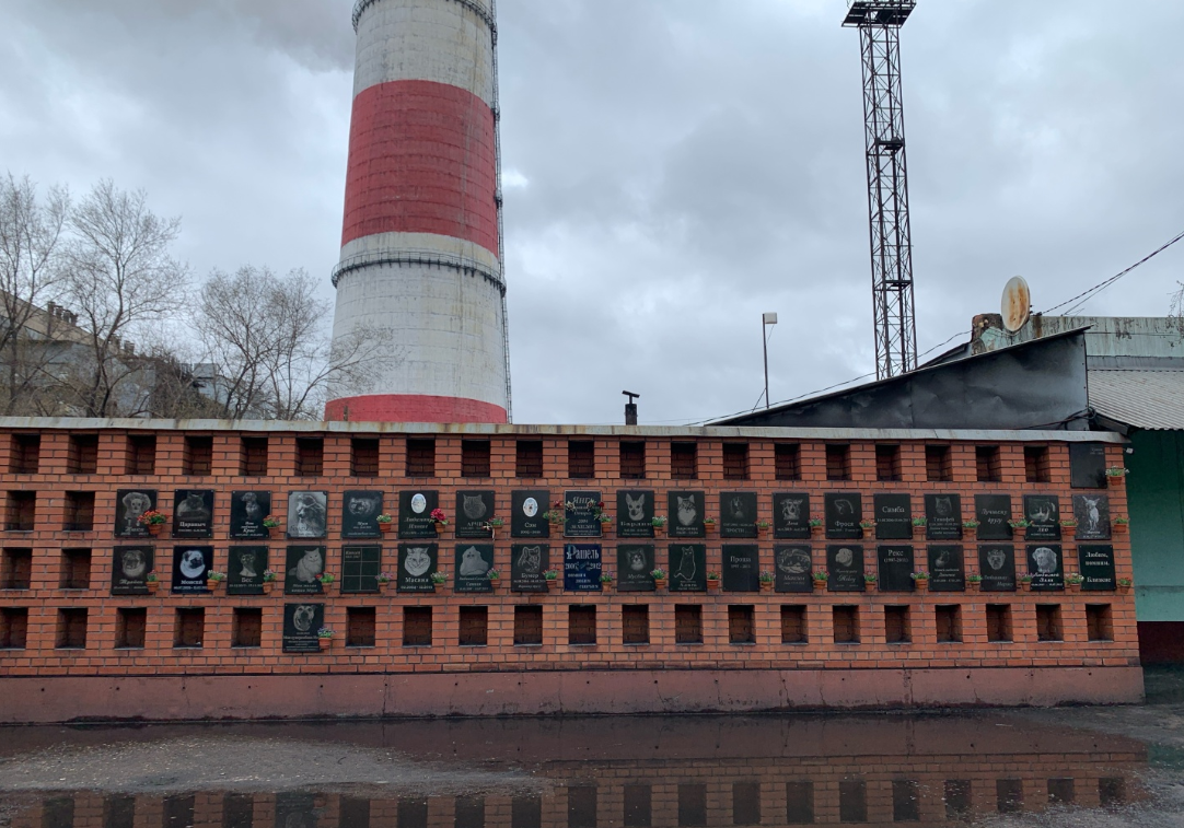 Одна из стен этого колумбария. Фото взято в 2ГИС
