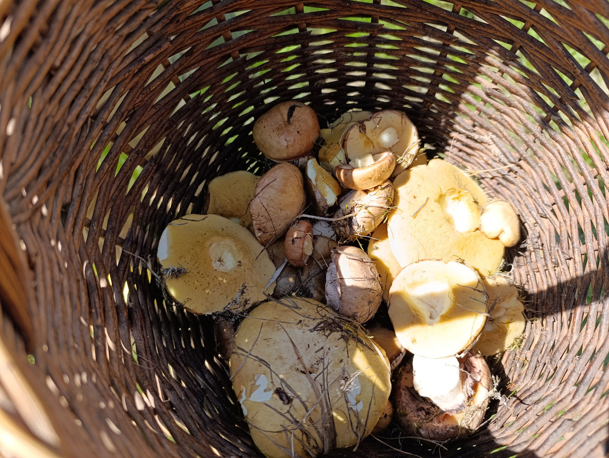 Результат первого места