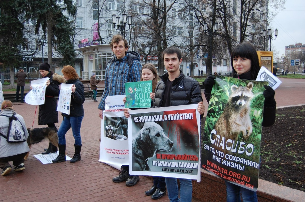 Вот так выглядят акции