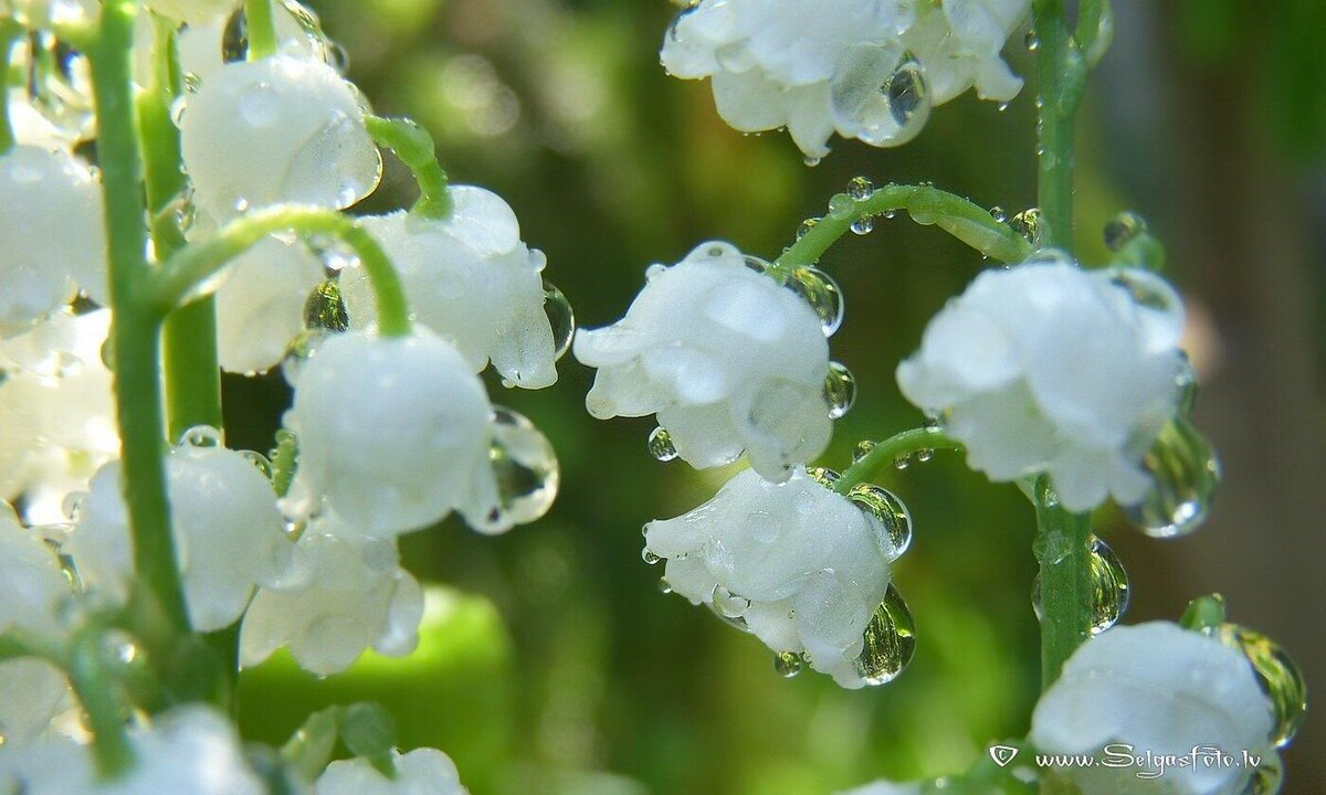 #Астропрогноз на 22 мая 2025. Ключевые аспекты дня