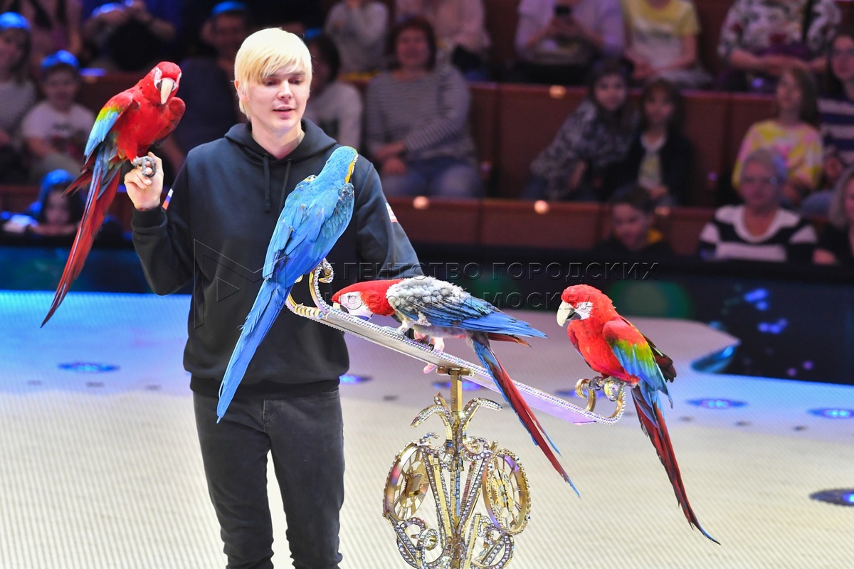Александр Оноприенко со своими попугаями. Фото с сайта https://www.mskagency.ru/