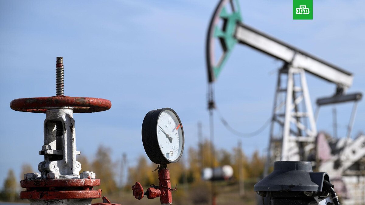    Фото: РИА Новости © 2025, Максим Богодвид