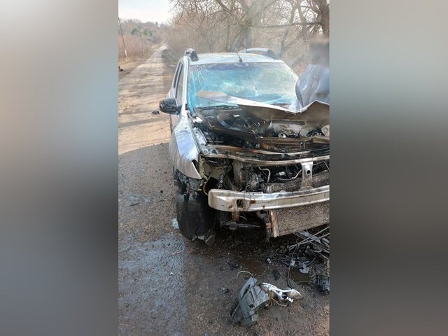    Фото: телеграм-канал "Александр Хинштейн"