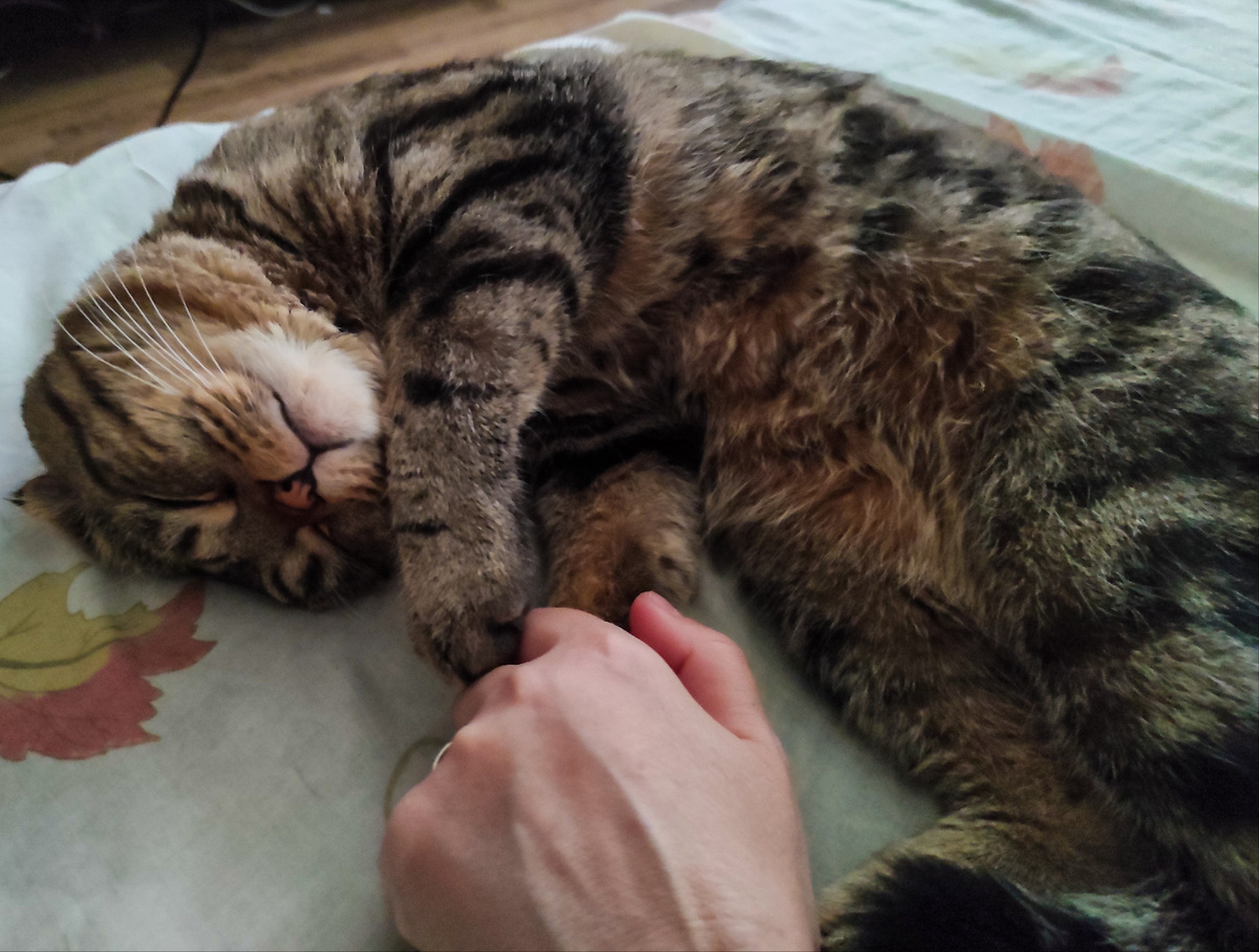 Солнышко моё 🥰