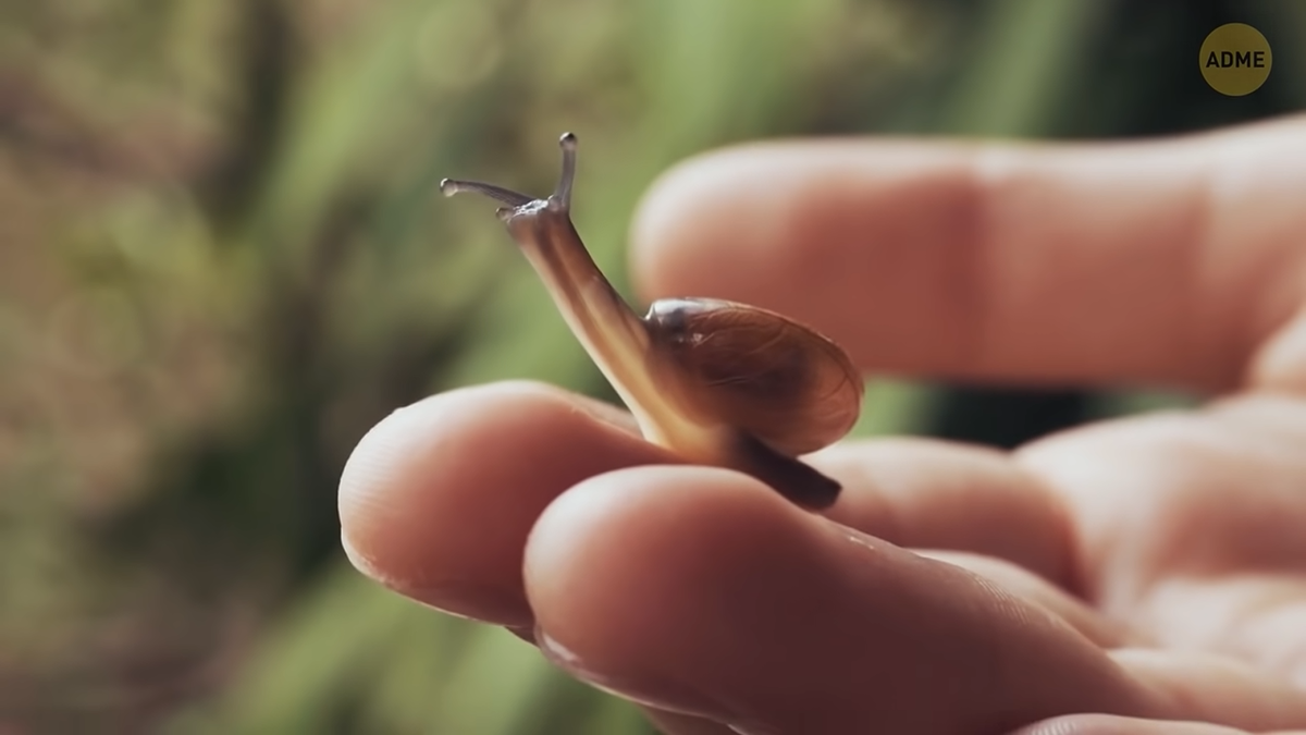 Фото взято с AdMe.