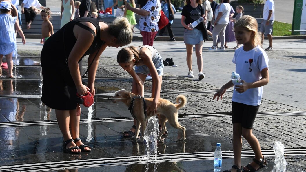    Komsomolskaya Pravda/Globallookpress
