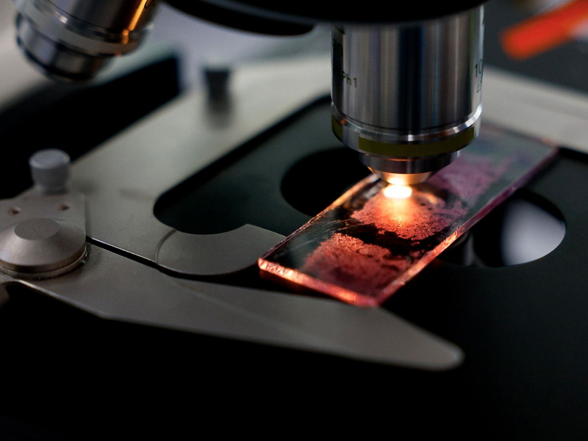 Фото: пресс-служба ДВФУ/ Процесс исследования