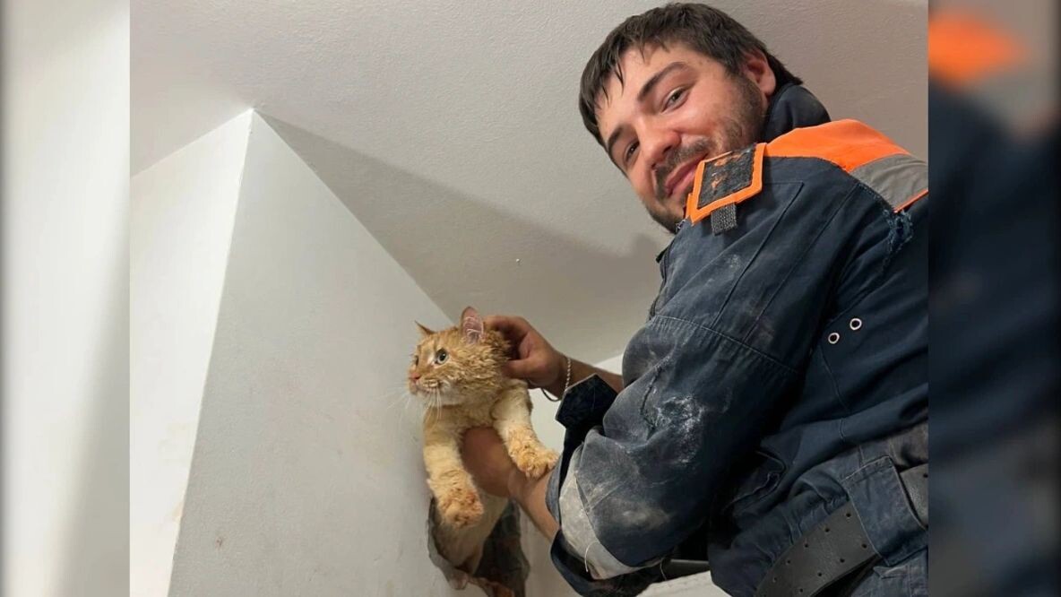    Фото: t.me/aishokhirev