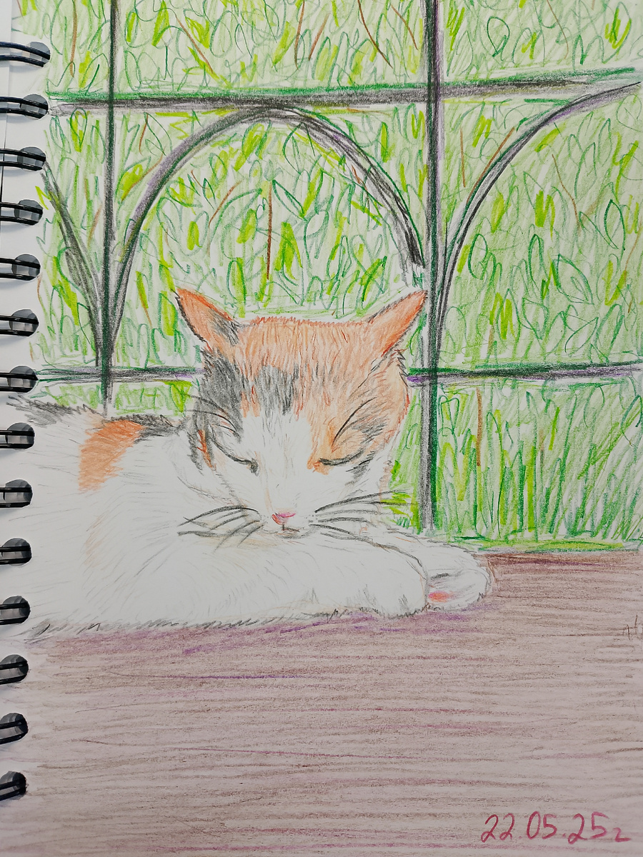 Немного видоизменëнная фотка котика с ботанического сада. 