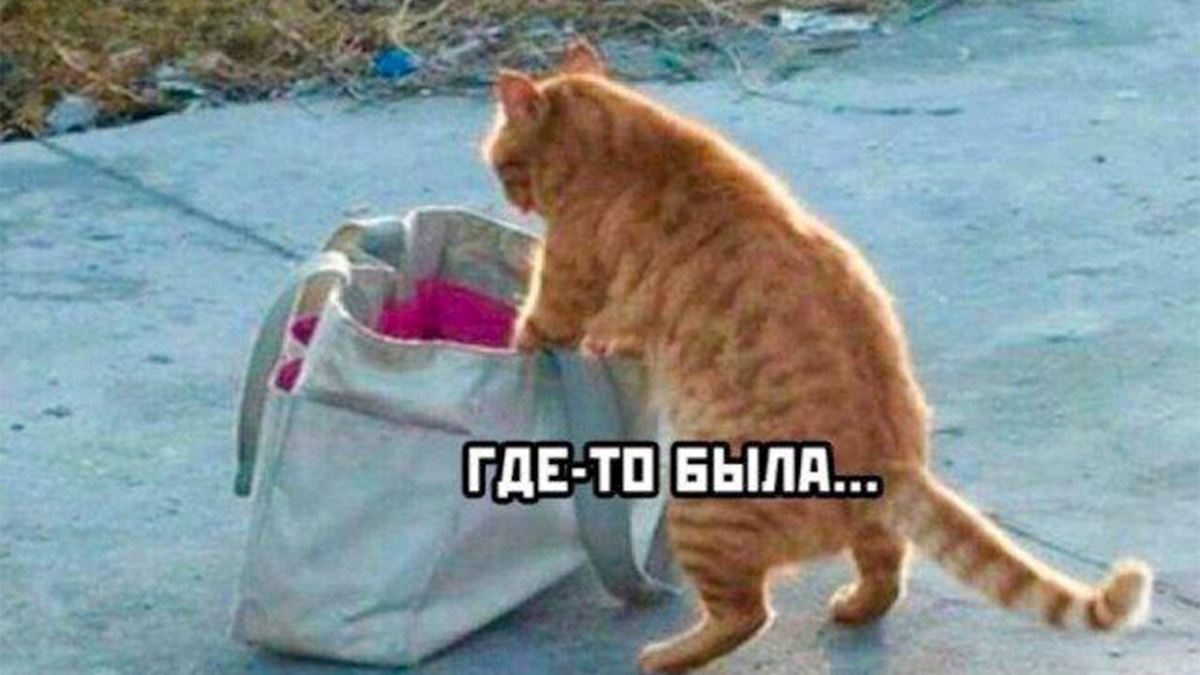 Фото с просторов интернета