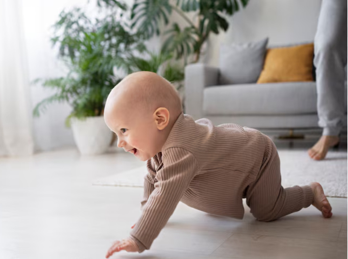 Фото взято из интернета 