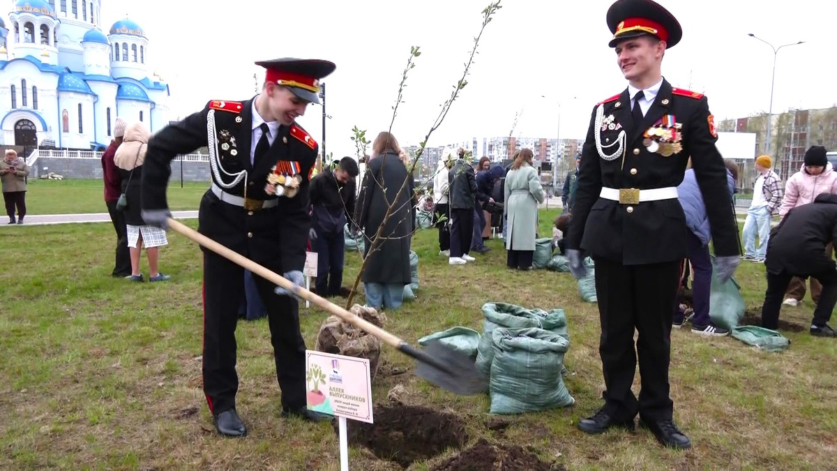    Лучшие ученики Сургута высадили яблони на Аллее выпускников