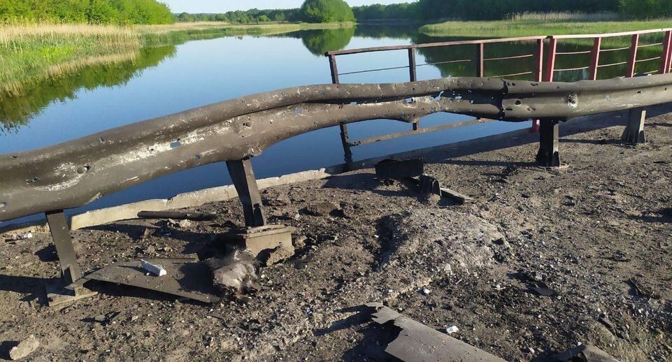    Александр Хинштейн / Telegram