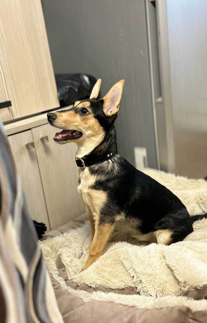 Листайте вправо, чтобы увидеть больше изображений