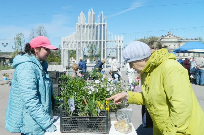 Цветы садовода из села Ленска Ольги Газиевой (слева) привлекали посетителей ярмарки многообразием ярких оттенков