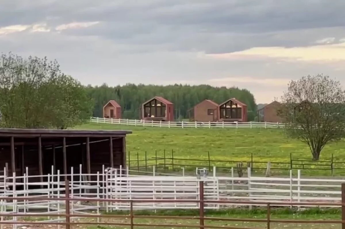    Министру сельского хозяйства РФ показали уникальную калужскую ферму