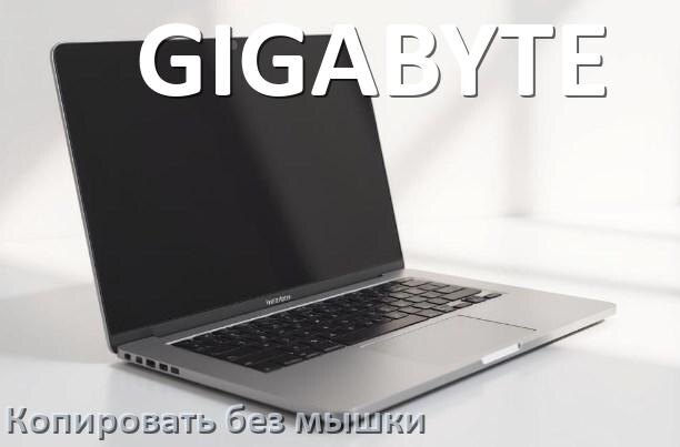 
Как на ноутбуке GIGABYTE без мышки скопировать и вставить текст
